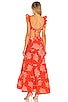 view 3 of 3 Marigot Print Maxi Dress in Tangerine Coral