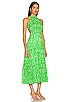 view 2 of 3 Lily Maxi Dress in Lime Multi Floral