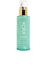 view 1 of 1 Minty Mineral Hydration Mist in 