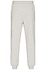 view 3 of 3 4 x 4 Trak Pant Relaxed in Grey Marle
