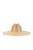 view 3 of 3 Western Wide Palma Hat in Natural