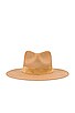 view 3 of 3 The Mirage Hat in Caramel
