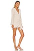 view 2 of 3 The Meadow Mini Dress in Taupe
