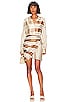 view 1 of 3 The Kamille Mini Dress in Brown & Ivory Stripe