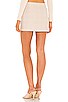 view 3 of 4 Natalia Mini Skirt in Tan & White