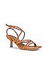 view 2 of 5 Sivi Sandal in Camel