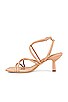view 5 of 5 Sivi Sandal in Nude