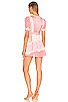 Karlina Dress