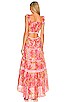view 3 of 3 Madsen Dress in Swaying Coral