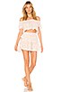 Preorder: Stephanie Crop