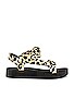 view 1 of 5 Maisie Sporty Sandal in Leopard