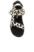 view 4 of 5 Maisie Sporty Sandal in Leopard