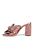 view 5 of 5 PENNY 뮬 in Metallic Rose