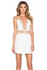 x REVOLVE Mini Dress, view 1 of 4, click to view large image.