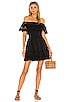 view 1 of 3 Dallas Mini Dress in Black