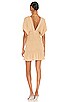 Innika Mini Dress, view 3 of 3, click to view large image.