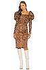 view 1 of 4 Abana Dress in Lucianna Print