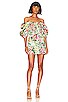 view 2 of 4 FLORA ドレス in Green Rosa Floral