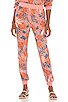 view 1 of 4 Skyler Pant in High Dive Floral