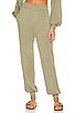 view 1 of 4 Seaglass Pant in Army