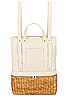 view 1 of 6 x Lindsay Albanese Road Tripping Backpack in Cream & Tan