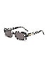 view 2 of 2 Salome Sunglasses in Dalmation