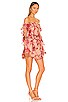 view 2 of 4 Fae Mini Dress in Scarlet Vineyard