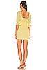 Lelani Mini Dress, view 3 of 3, click to view large image.