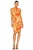 view 1 of 3 Sofia Dress in Stone Orange