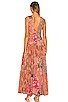 view 3 of 3 Bonnie Dress in Multicolor