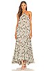 view 4 of 4 Andromeda Dress in Spring Ikat