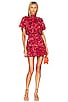 view 1 of 4 Saffie Dress in Crimson Geo