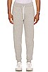 view 1 of 4 Tricolor Fox Patch Classic Jog Pant Skinny in Grey Melange
