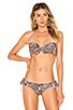 Cabana Bikini Top, view 2 of 5, click to view large image.