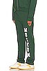 view 2 of 5 Varsity Sweatpants in Forest
