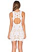 x REVOLVE Embroidered Mini Dress, view 4 of 6, click to view large image.
