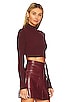view 2 of 4 Cara Cropped Knit Mock Neck in Brown
