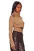 view 2 of 4 Winston Cropped Turtleneck Sweater in Tan
