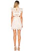 Eyelet Apron Mini Dress, view 3 of 4, click to view large image.