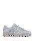 view 1 of 6 ZAPATILLA DEPORTIVA AIR MAX 90 in Wolf Grey