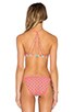 view 3 of 4 Bindi Stargazer Bikini Top in Coral
