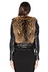 view 4 of 6 Flashing Lights Jacket with Asiatic Raccoon Fur in Natural Raccoon Fur & Black Leather