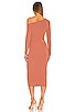 view 4 of 4 River Midi Dress in Rosewood