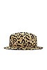 view 1 of 4 SOMBRERO in Leo