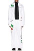 view 7 of 7 PANTALONES MULTILOGO SKATE in White & Black