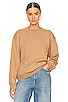 view 2 of 4 Diag Regular Crewneck in Brown