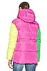 view 5 of 6 Misha Coat in Colourblock