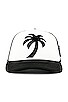 view 1 of 4 SOMBRERO PALM in Black