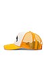 view 3 of 4 Curved Logo Mesh Cap in Ocher Yellow
