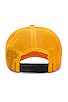 view 4 of 4 Curved Logo Mesh Cap in Ocher Yellow